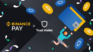 Moving Your USDT, How to Transfer Between Wallets Quickly