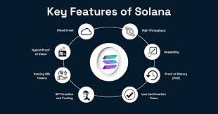 Unlocking Solana's Potential, A Guide to Staking SOL Tokens