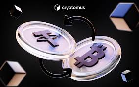 Mastering Cryptomus P2P Chat, Avoid Transaction Issues with These Tips