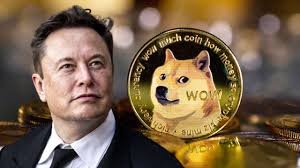 Musk’s Crypto Portfolio, Unveiling the Assets of a Crypto Influencer